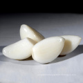China Fresh white garlic peeled